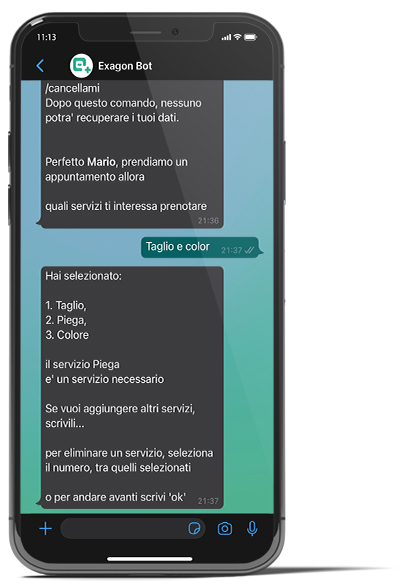 Whatsapp Bot screen